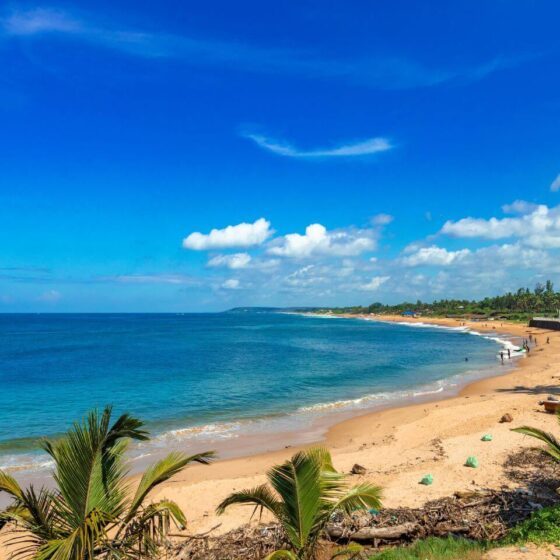 sinquerim-beach-goa-timings-entry-fee-goa-tourism-header-cr-hrishikesh-sharma